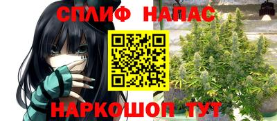 прущие крисы Будённовск
