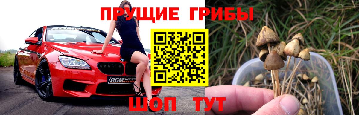 Псилоцибиновые грибы мицелий Ханты-Мансийск
